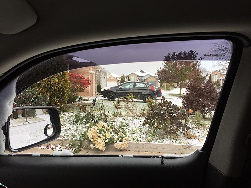 What Did You Do To Your HHR Today?-1dc76f84-5d9d-4c0a-aaca-146a33ad2af8.jpeg