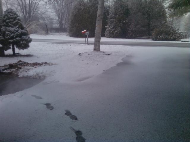 Name:  lights before x mas 016.jpg
Views: 336
Size:  31.0 KB