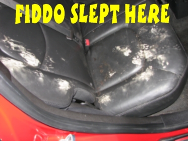 Name:  1 Fido slept here.jpg
Views: 98
Size:  78.8 KB