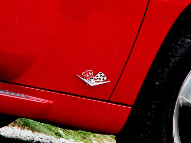 Name:  door flags L.jpg
Views: 154
Size:  26.3 KB