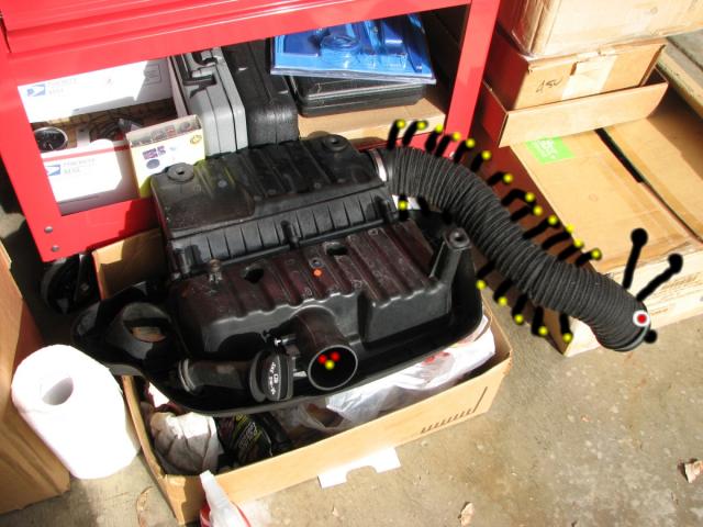 Name:  wolly worm.jpg
Views: 196
Size:  52.2 KB