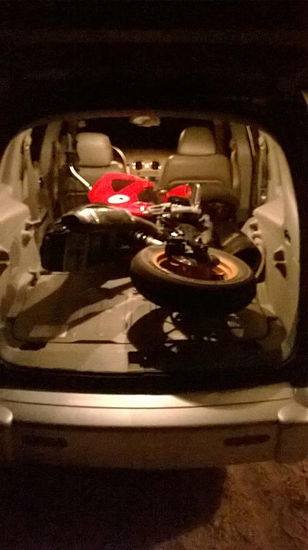 Hi! Im new here!-hhr.jpg