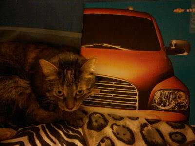 Name:  0821090014_opt.jpg
Views: 31
Size:  19.4 KB