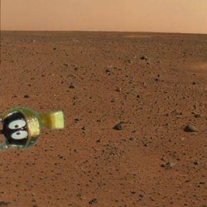 Name:  MARS 1.JPG
Views: 324
Size:  15.0 KB