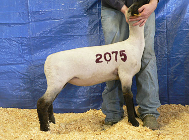 Name:  Screen Shot 2012-10-05 at 11.32.35 AM.png
Views: 110
Size:  202.3 KB