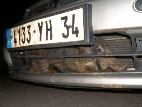 Name:  4133.jpg
Views: 110
Size:  29.2 KB