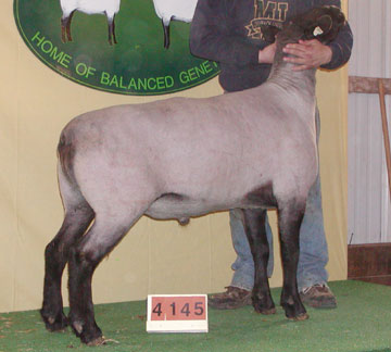 Name:  4145.jpg
Views: 134
Size:  25.9 KB