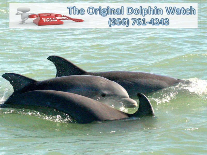 Name:  4243.jpg
Views: 106
Size:  118.4 KB