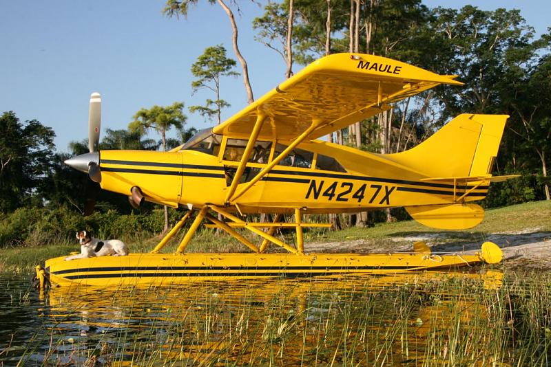 Count by Picture-image.jpeg