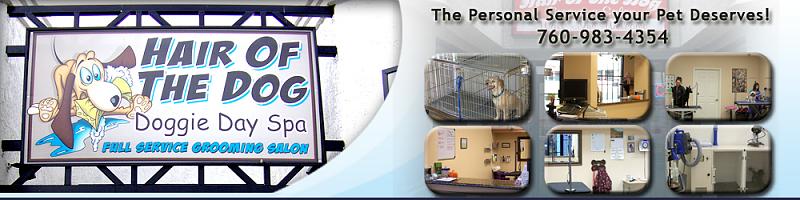 Count by Picture-4354.jpg