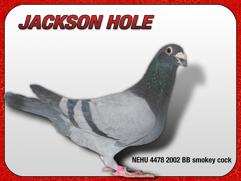 Count by Picture-4478.jpg