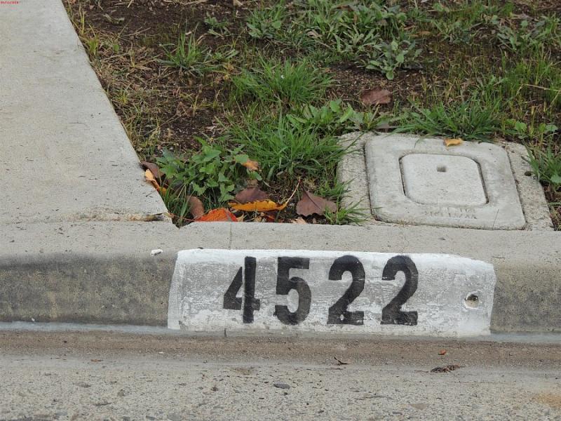 Count by Picture-4522b.jpg