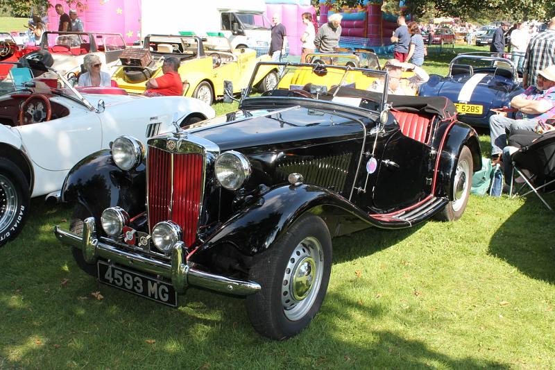 Count by Picture-4593.jpg