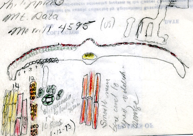 Name:  4595.jpg
Views: 113
Size:  84.3 KB