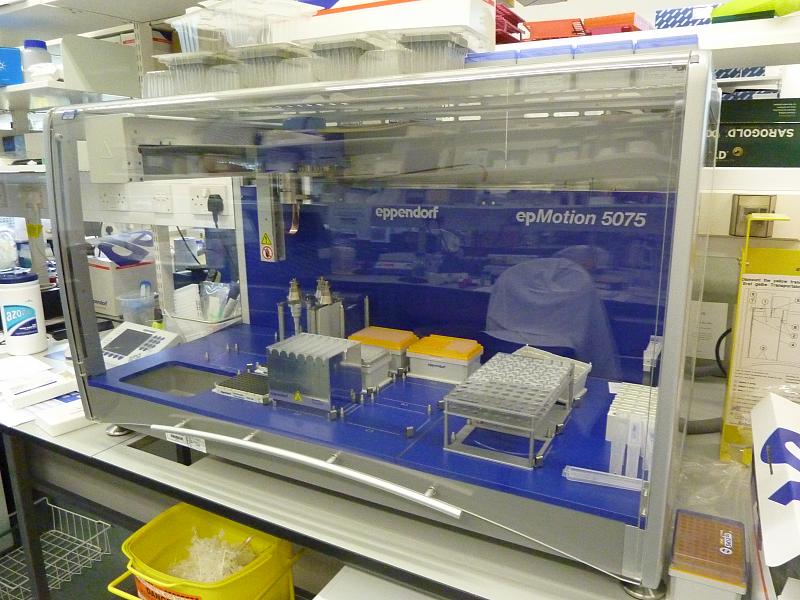 Count by Picture-5075b.jpg