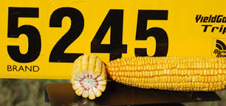 Name:  5245.jpg
Views: 68
Size:  13.2 KB