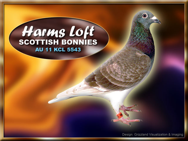 Name:  5543.jpg
Views: 122
Size:  81.6 KB