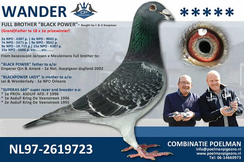 Count by Picture-5606.jpg