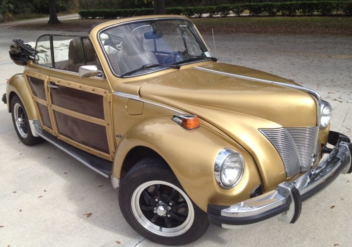 Name:  1974VWBeetle_01_700.jpg
Views: 125
Size:  71.4 KB