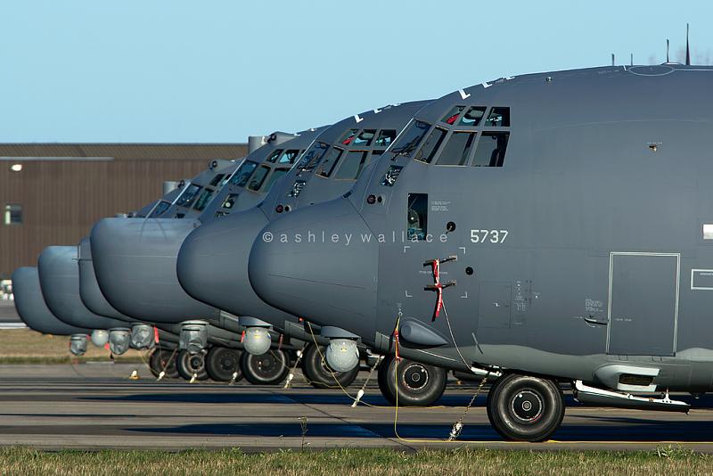 Count by Picture-5737.jpg