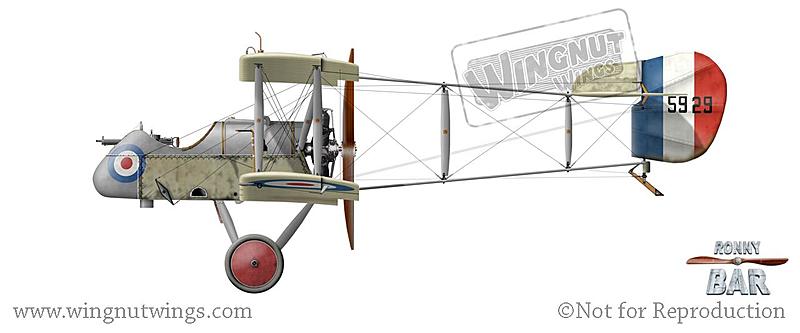 Count by Picture-5929.jpg