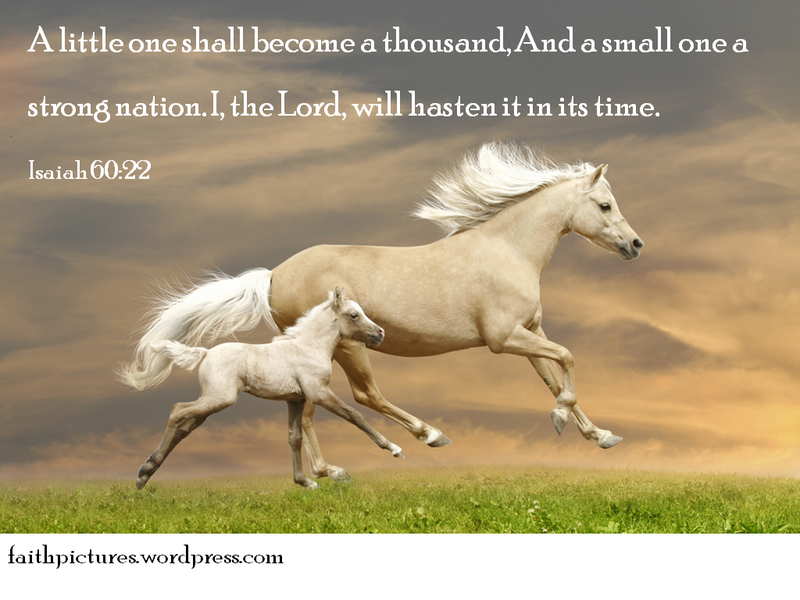 Count by Picture-6022.png