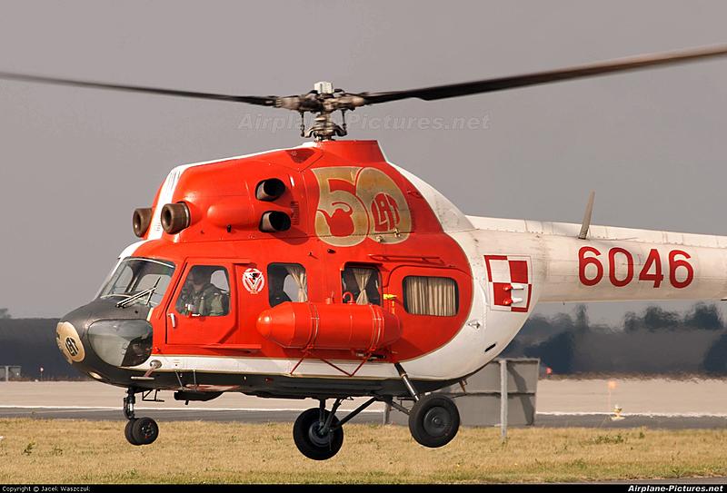 Count by Picture-6046.jpg