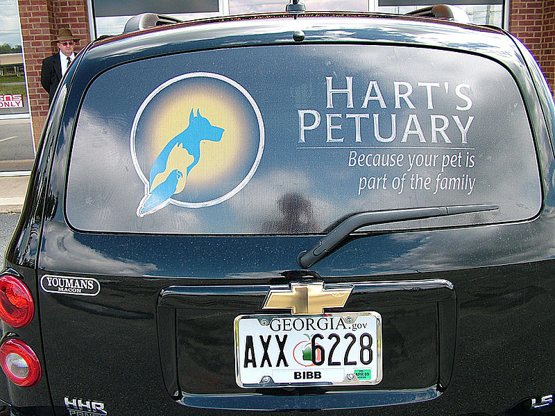 Count by Picture-6228.jpg