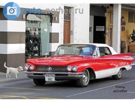 Name:  6234.jpg
Views: 59
Size:  39.5 KB