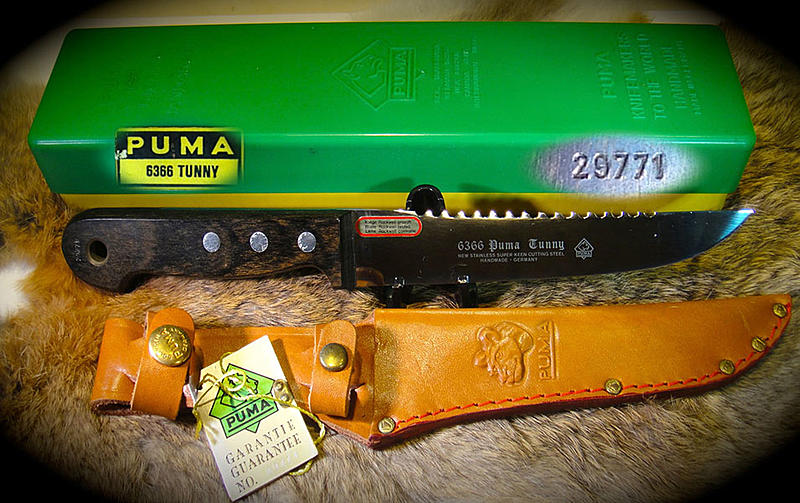 Count by Picture-6366.jpg