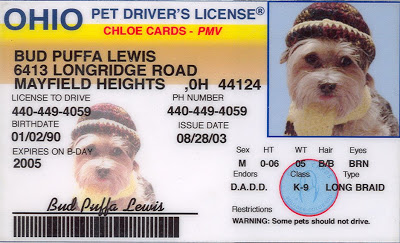 Name:  6413.jpg
Views: 54
Size:  45.6 KB