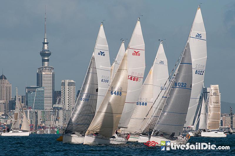 Count by Picture-6488.jpg