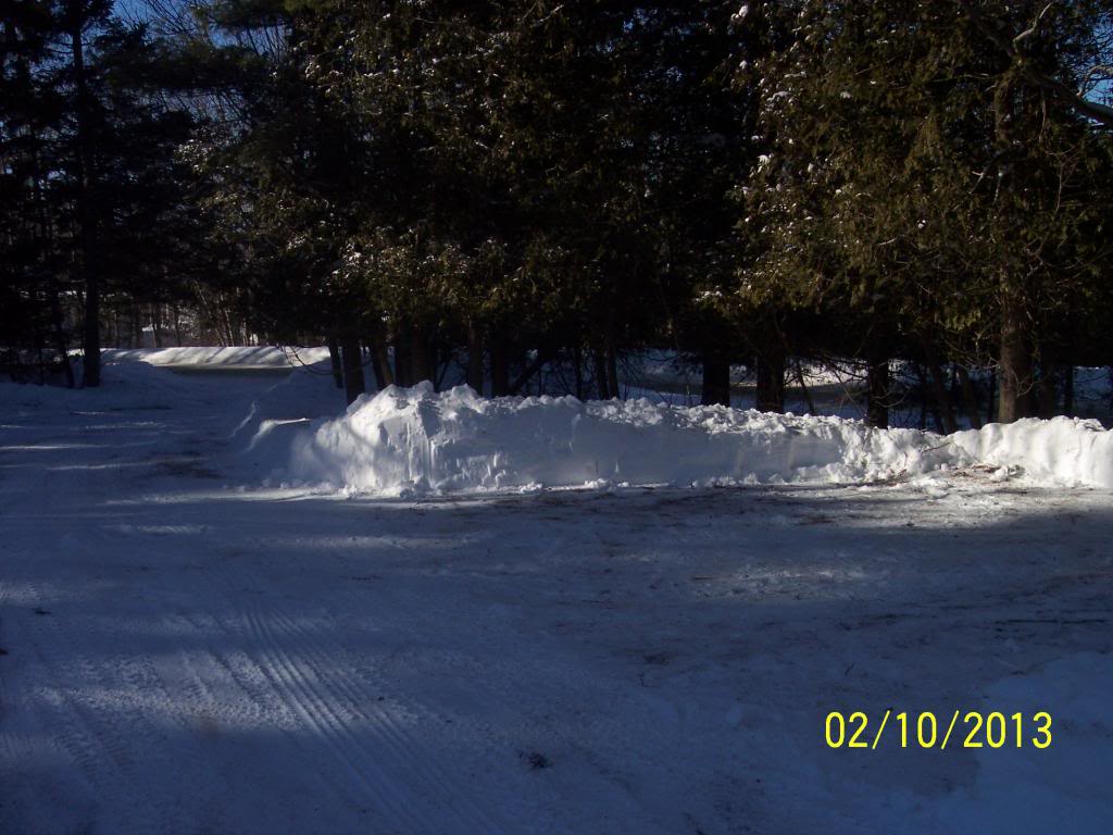 Name:  Storm20134_zps93e613a1.jpg
Views: 33
Size:  103.1 KB