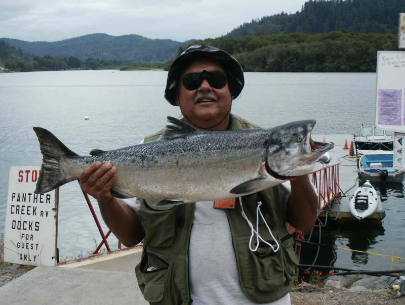 Name:  Jerrysalmon-1.jpg
Views: 96
Size:  90.1 KB