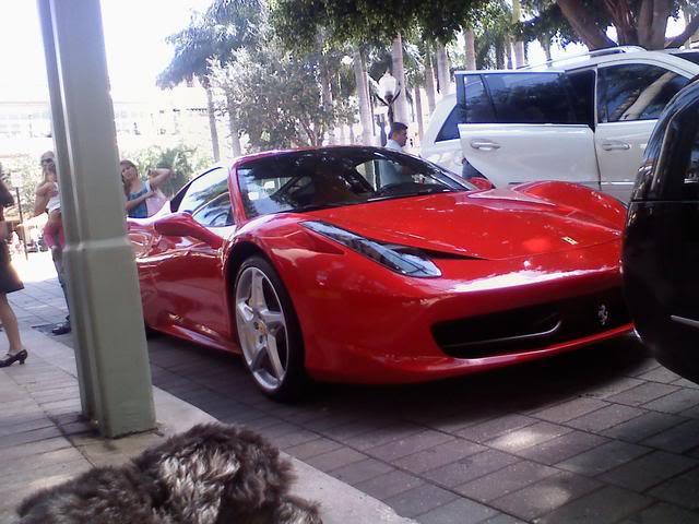 Name:  downsized_0731011542.jpg
Views: 29
Size:  55.0 KB