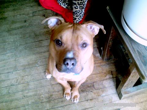 Name:  PICT0059.jpg
Views: 36
Size:  29.6 KB