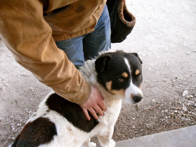 Name:  SDC11508.jpg
Views: 50
Size:  120.8 KB