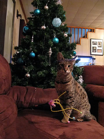 Name:  IMG_4859-1-1.jpg
Views: 24
Size:  44.8 KB