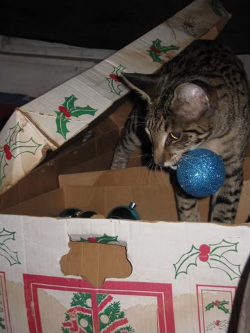 Name:  IMG_4935-1.jpg
Views: 27
Size:  34.9 KB