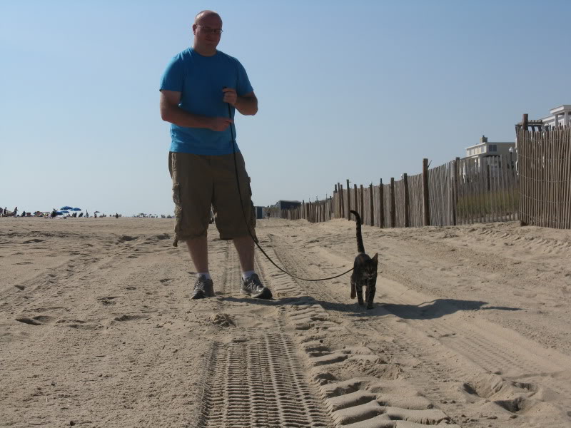 Name:  IMG_4578.jpg
Views: 29
Size:  102.4 KB