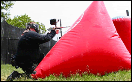 Name:  d3.gif
Views: 37
Size:  55.7 KB