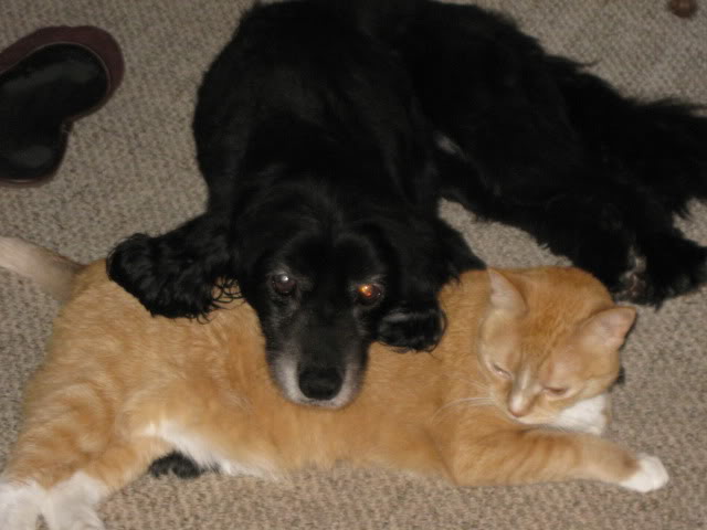 Name:  001-12.jpg
Views: 30
Size:  41.3 KB