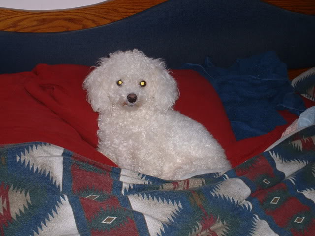 Name:  001-11.jpg
Views: 26
Size:  55.5 KB