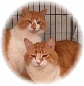 Name:  SUNNY img20.jpg
Views: 110
Size:  10.3 KB