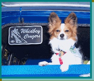 Name:  SUNNY WC.jpg
Views: 105
Size:  30.2 KB