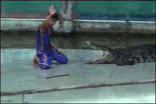 Name:  GATORtakesMANSarm.gif
Views: 586
Size:  1.19 MB