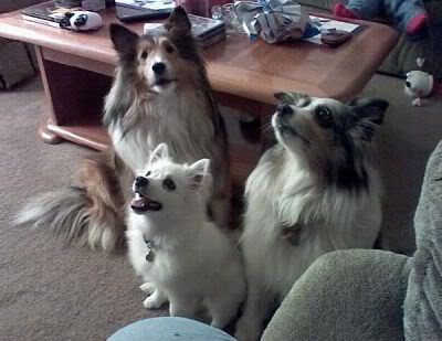 Name:  l_059f680c2dfca3a5fd3c0d2895714ff4_.jpg
Views: 33
Size:  24.2 KB