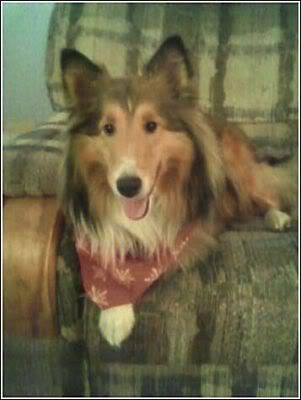 Name:  l_fd5513c8cae0f8b767119feb780919b4_.jpg
Views: 32
Size:  17.1 KB