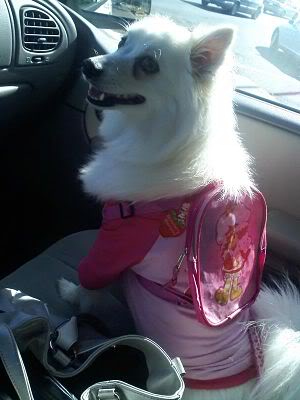 Name:  l_c182cceb1c6e4f309cd8789c7895dcbb_.jpg
Views: 33
Size:  20.7 KB