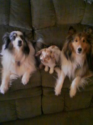 Name:  165985337605_opt.jpg
Views: 33
Size:  14.5 KB